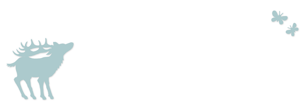 Adresetiket Geertje Aalders  - lichtblauw