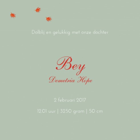 kaart binnenzijde rechts