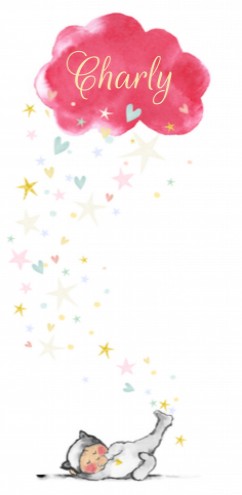 Geboortekaartje Charly - EB