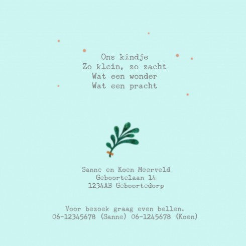 kaart binnenzijde links