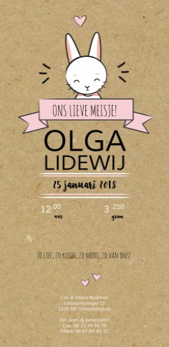 Geboortekaartje DIY konijntje - Olga GB