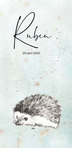 Geboortekaartje inkylines egeltje Ruben - EB