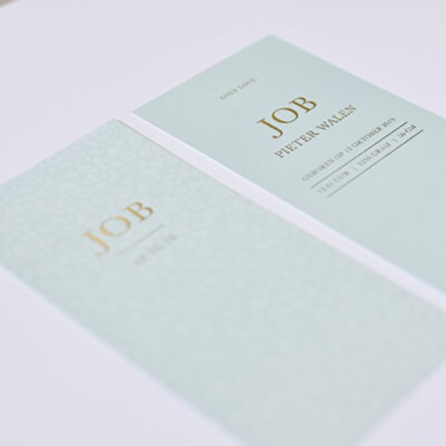 Panterprint jongen Job