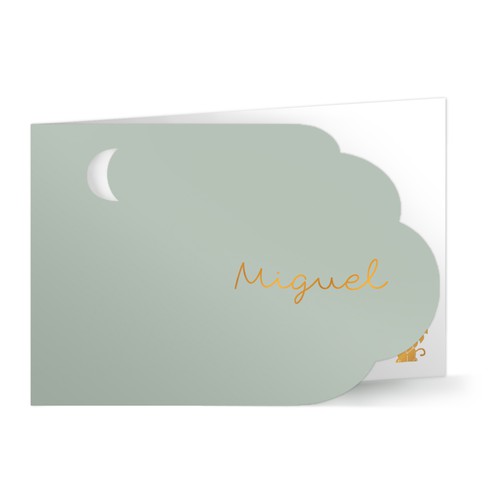 Jongens geboortekaartje met wolk vorm en maan large -  Miguel