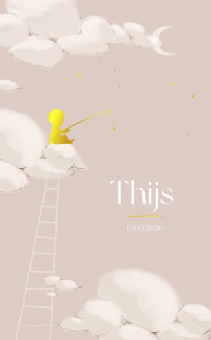 Geboortekaartje jongen lief silhouette in de wolken met sterren in goudfolie- Thijs