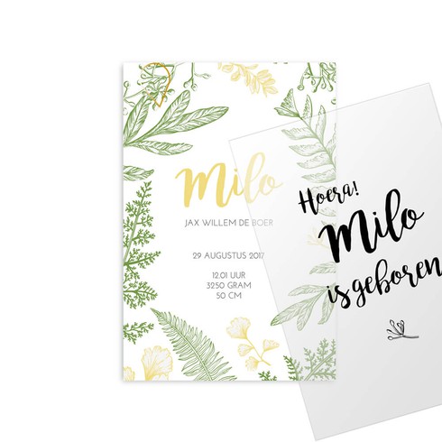 Geboortekaartje Milo - hoofdkaart