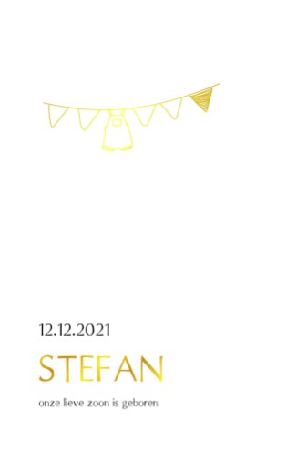 Geboortekaartje kalkpapier met goudfolie slinger - Stefan