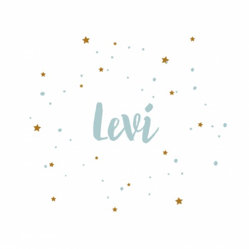 Geboortekaartje Levi - DIY