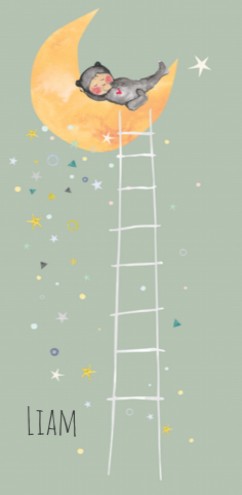 Geboortekaartje Liam - EB