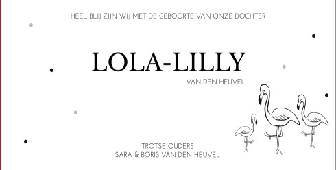 Geboortekaartje Lola