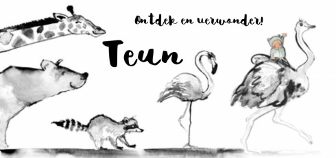 Geboortekaartje Teun - EB