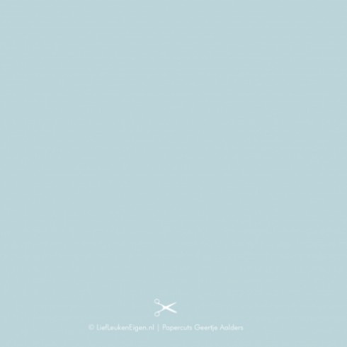 Geboortekaartje Vailliant - GA