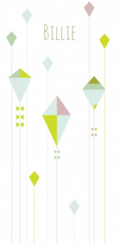 Geboortekaartje - vlieger - Billie HK