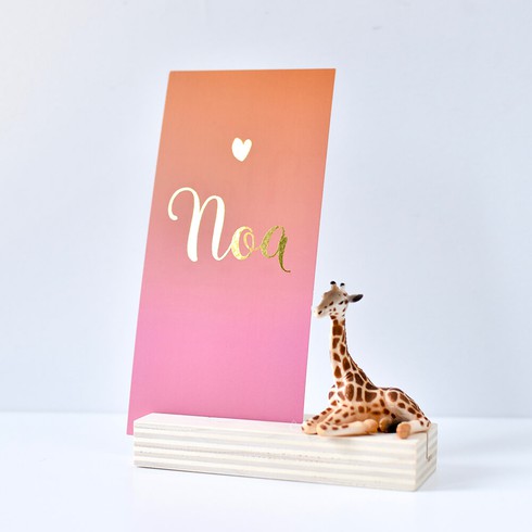Geboortekaartje Noa