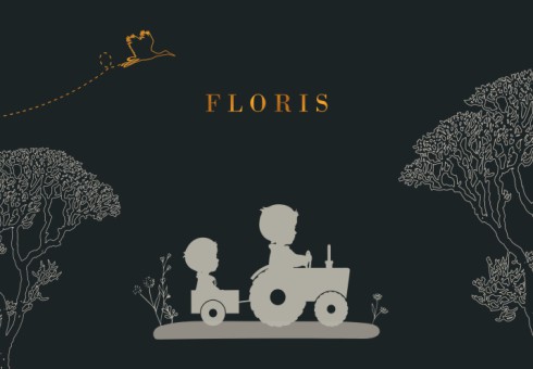 Jongenskaartje met broertjes en tractor - Floris