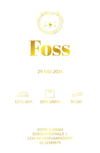 Kalkpapier leeuwtje folie - Foss