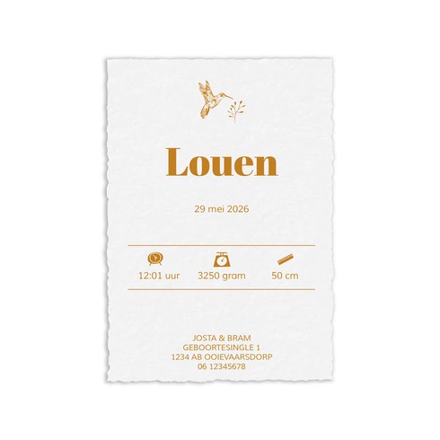 Geboortekaartje handgeschept papier met vogel - Louen