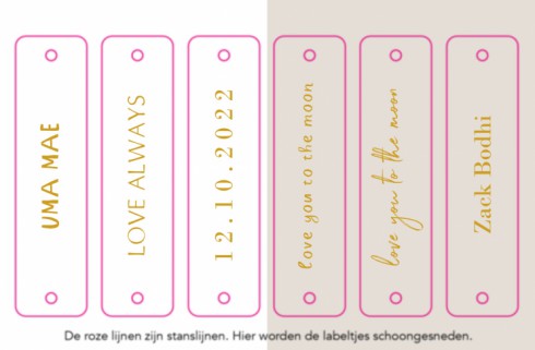 Labeltjes langwerpig 6 stuks - tekst