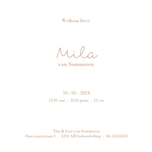 kaart binnenzijde rechts