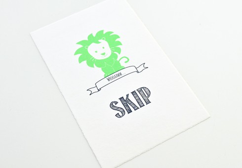 Oud Hollands leeuwtje fluor groen Skip