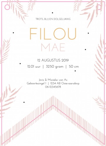 Vaandel geboortekaartje - Filou